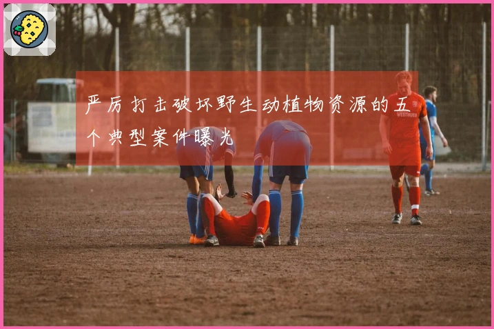 严厉打击破坏野生动植物资源的五个典型案件曝光